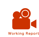 Working Report